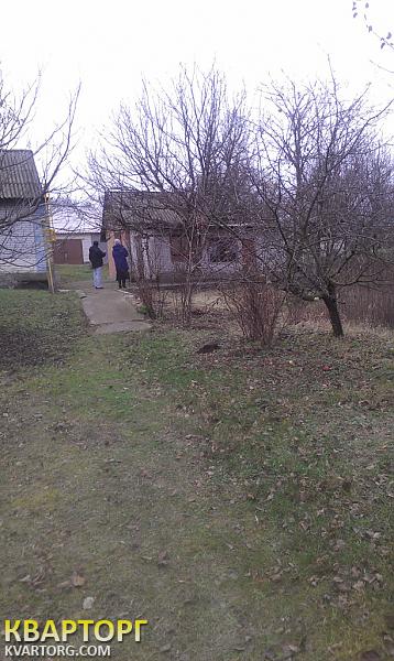 Sell house. Киевская обл., Паникарча — photo 1