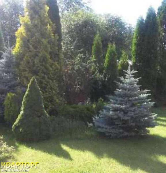 Sell house. Киев, Парниковая — photo 5