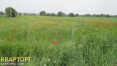 Sell house. Киев, Ярославская — photo 4