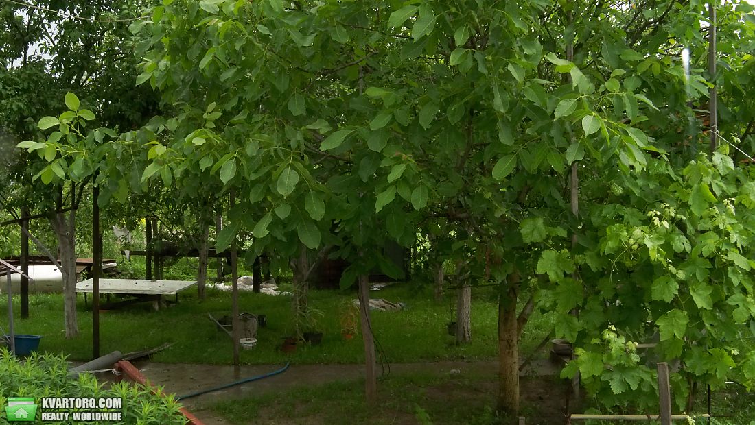 Sell house. Киевская обл., Артемовка — photo 5