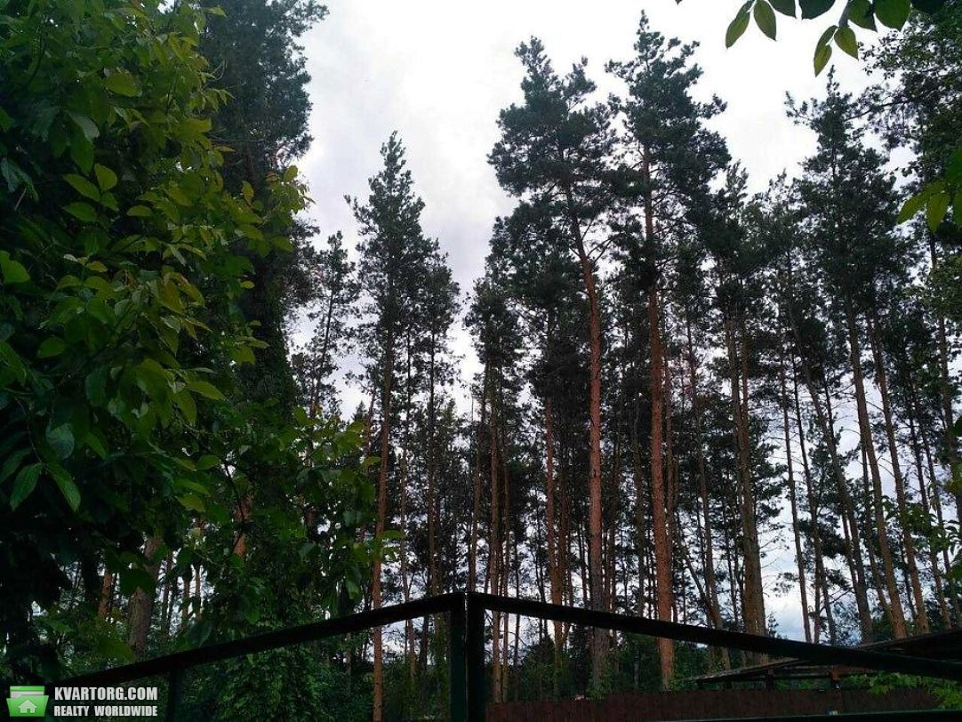 Sell house. Киевская обл., Ходосівка — photo 4