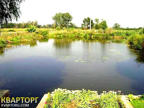 Sell house. Киевская обл., с. Гнедін — photo 5