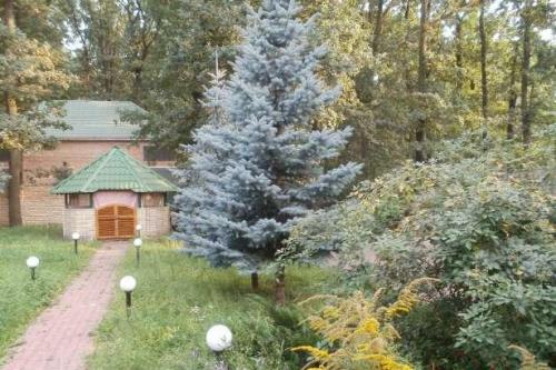 Rent out house. Киевская обл., садова — photo 7