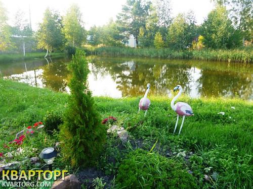 Sell house. Киевская обл.,  Залесная — photo 4