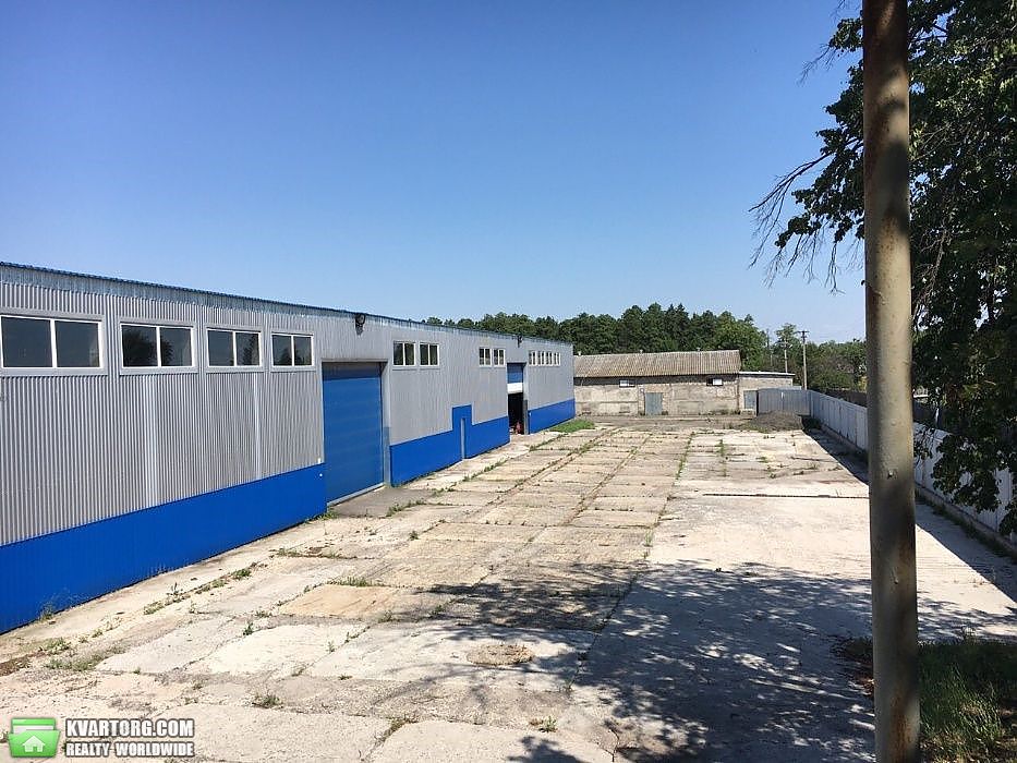 Sell warehouse. Киевская обл., Киевская — photo 3