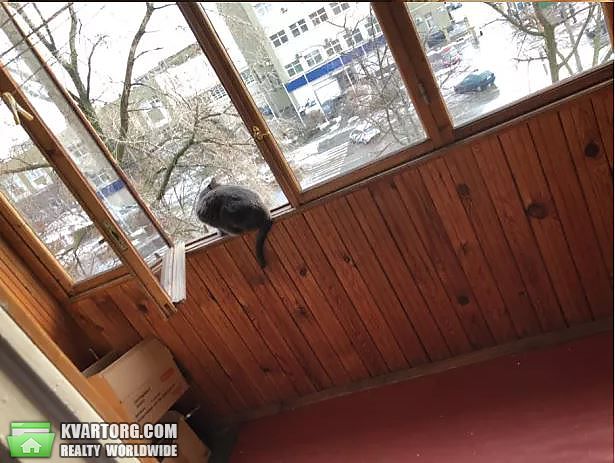 Rent out 2-room apartment. Киев, Березняковского — photo 1