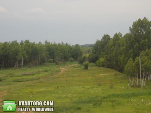 Sell house. Киевская обл., Пороскотень — photo 8