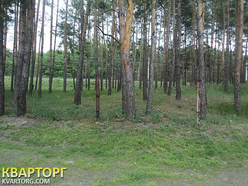 Sell house. Киевская обл., Подгорцы — photo 10