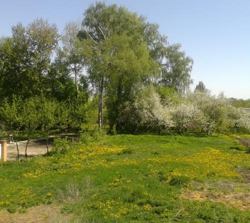 Sell house. Киевская обл., Белинского — photo 5