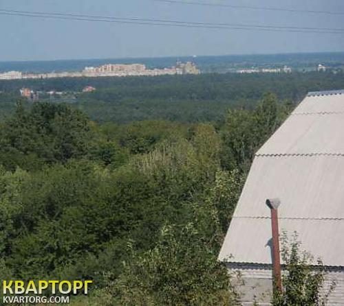Sell house. Киевская обл., Деревяная — photo 3