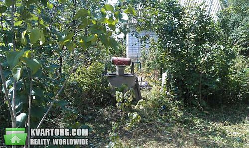 Sell house. Киевская обл., Жовтнева — photo 4