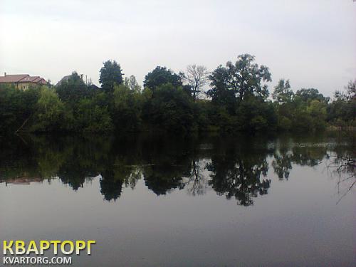Sell house. Киевская обл., главная — photo 4