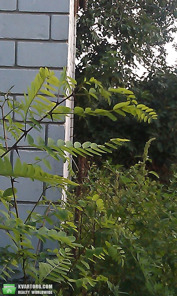 Sell house. Киевская обл., САДОВАЯ — photo 9