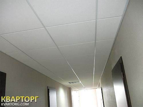 Rent out office. Киев, Димитрова — photo 8