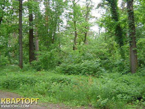 Sell house. Киевская обл., главная — photo 1