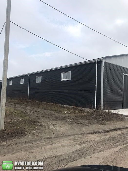 Rent out warehouse. Борисполь, Беживка — photo 5
