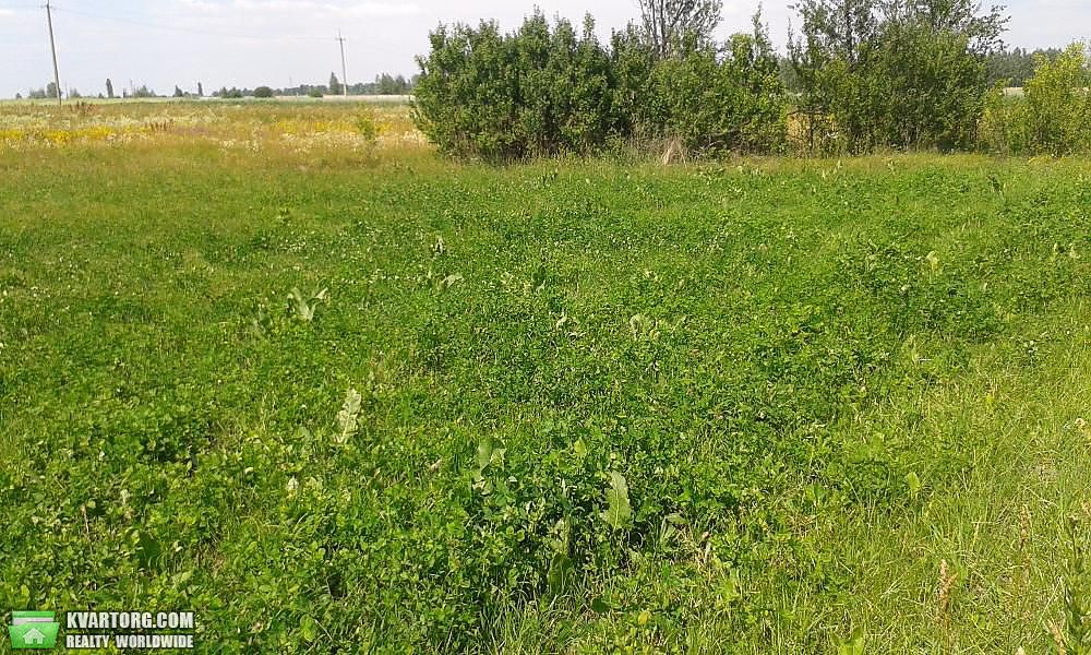 Sell house. Житомир, Центральна — photo 9
