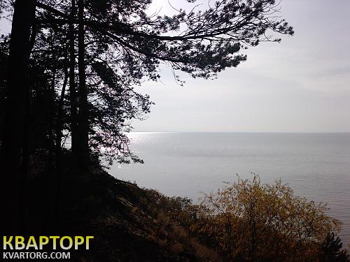 Sell house. Киевская обл., кооп.Вишневый — photo 6