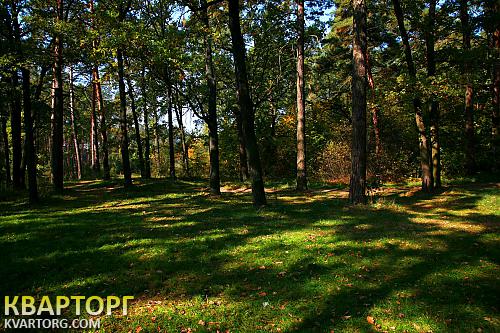 Sell house. Киевская обл., рыльского — photo 4