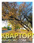 Sell house. Киев, 8 Садовая — photo 6