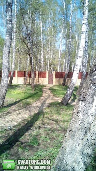 Rent out house. Киевская обл., Севериновка — photo 2