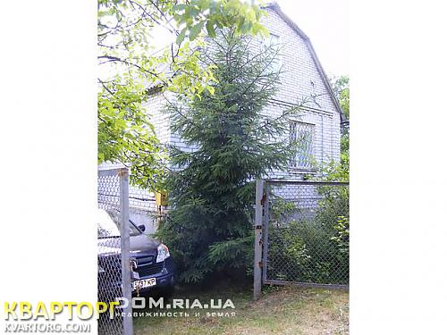 Sell house. Киевская обл., Здоровка — photo 2