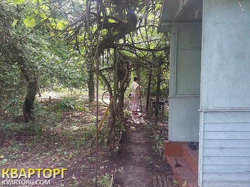 Sell house. Киев, Садовый коопер.Янтарь — photo 4