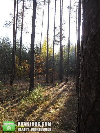 Sell house. Киевская обл., Дачная — photo 7