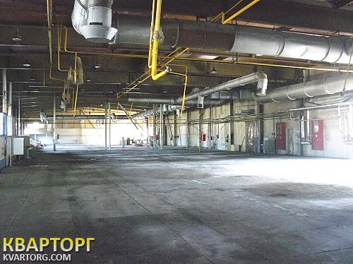 Rent out warehouse. Киевская обл., Барышевка — photo 1