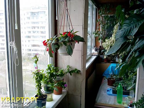 Sell 1-room apartment. Киев,  Будищанская — photo 1