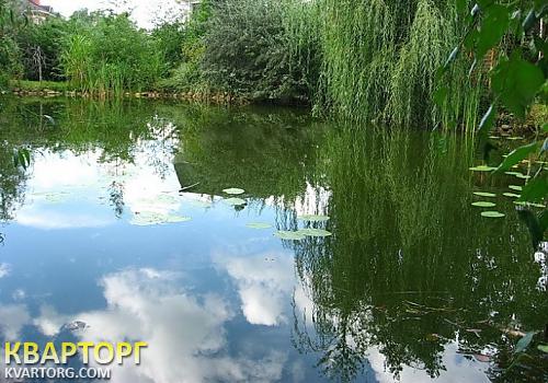 Rent out house. Киевская обл., Романков — photo 4