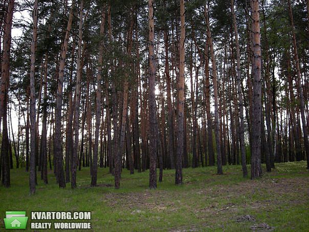 Sell house. Киевская обл., Улица — photo 4