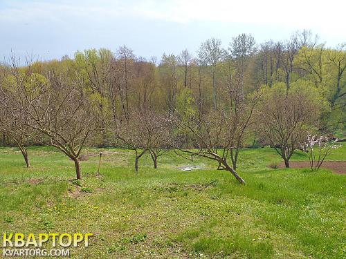Sell house. Киевская обл., с.Демивщина — photo 1