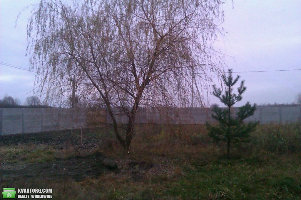 Sell house. Киевская обл., Независимости — photo 3