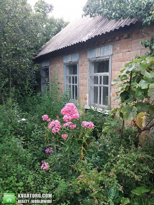 Sell house. Киевская обл.,  Шевченка — photo 8