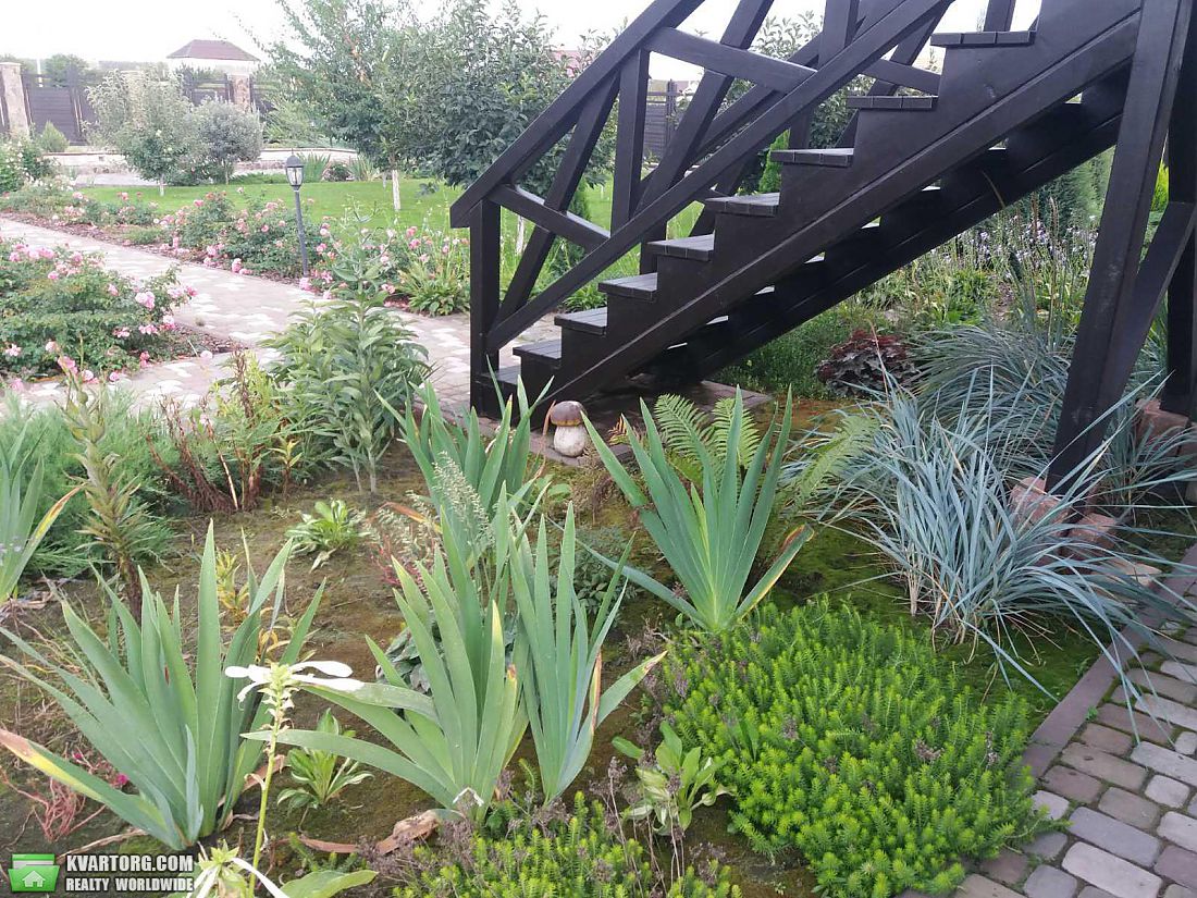 Sell house. Киевская обл., Зазимье — photo 2