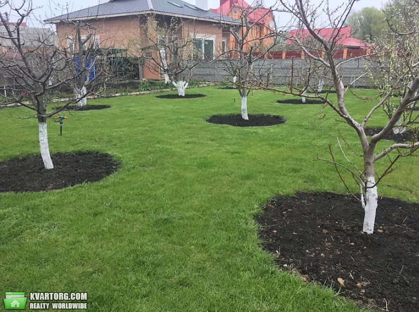 Sell house. Полтава, Копылы — photo 9