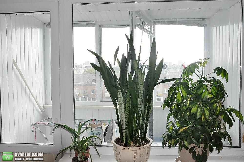 Sell 3-room apartment. Киев,  Победы пр — photo 8
