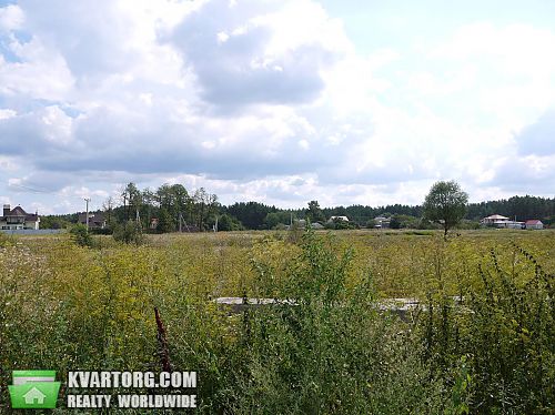 Sell house. Киевская обл., Пушкина — photo 10