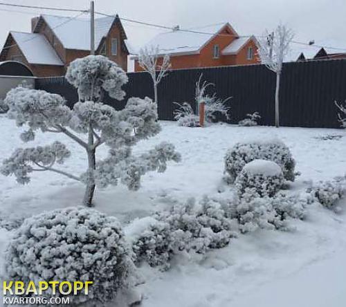 Rent out house. Киев, Вильямса — photo 10